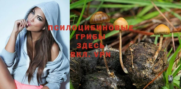 mix Алексин