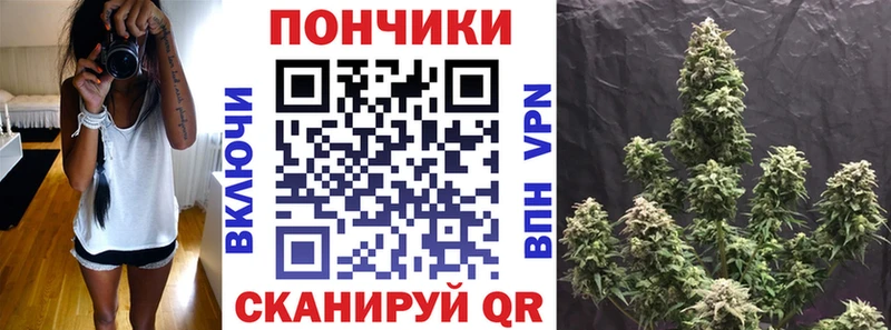 Шишки марихуана план  Качканар 